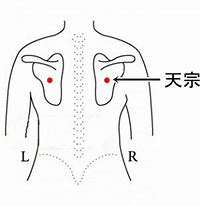 五十肩に効くツボ 肩髎 天宗 肩貞 肩髃 富津市のsanri鍼灸整骨院